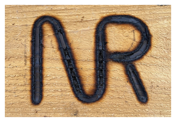 Nester Ranch Wagyu logo